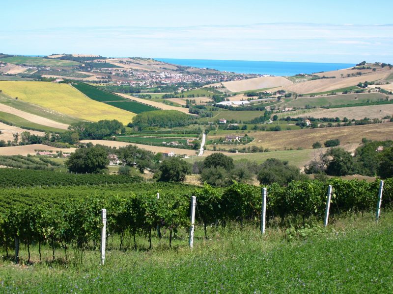 panorama